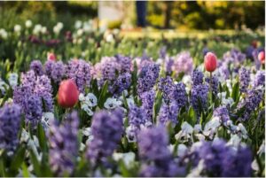 front row blog